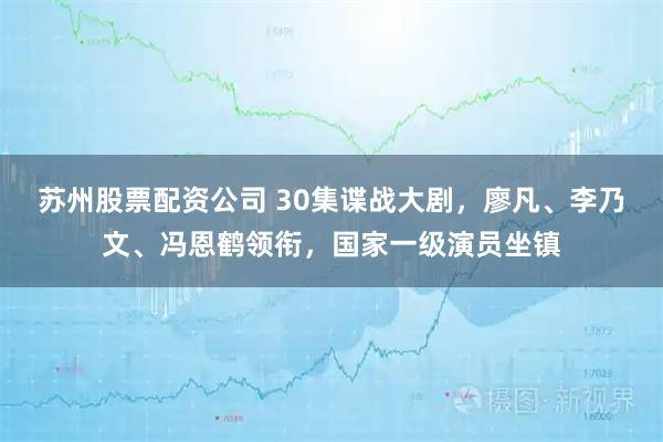 苏州股票配资公司 30集谍战大剧，廖凡、李乃文、冯恩鹤领衔，国家一级演员坐镇